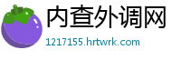内查外调网
